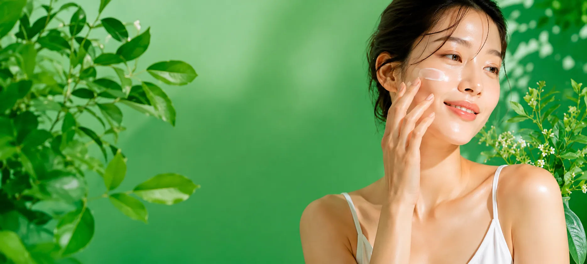 Skincare Coreana