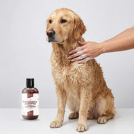 Frequently Shampoo - Shampoo Lavaggi Frequenti