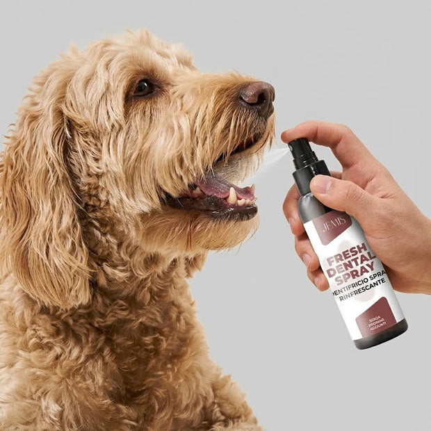 Fresh Dental Spray - Dentifricio Spray Rinfrescante