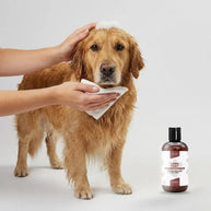 Long Coat Conditioner - Balsamo Idratante Pelo Lungo