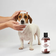 Short Coat Conditioner - Balsamo Idratante Pelo Corto